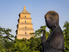Big Wild Goose Pagoda & Great Tang All Day Mall